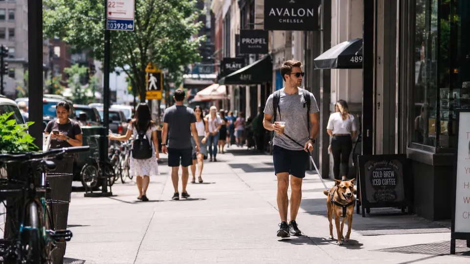 A man walks a calm dog on leash down a busy, sunny city sidewalk lined with shops and foot traffic