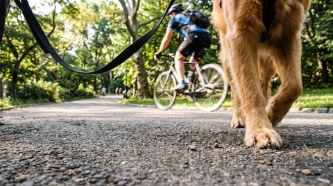 Low-angle view of a dog's leash and paws on a path, with a cyclist blurred passing by in the background