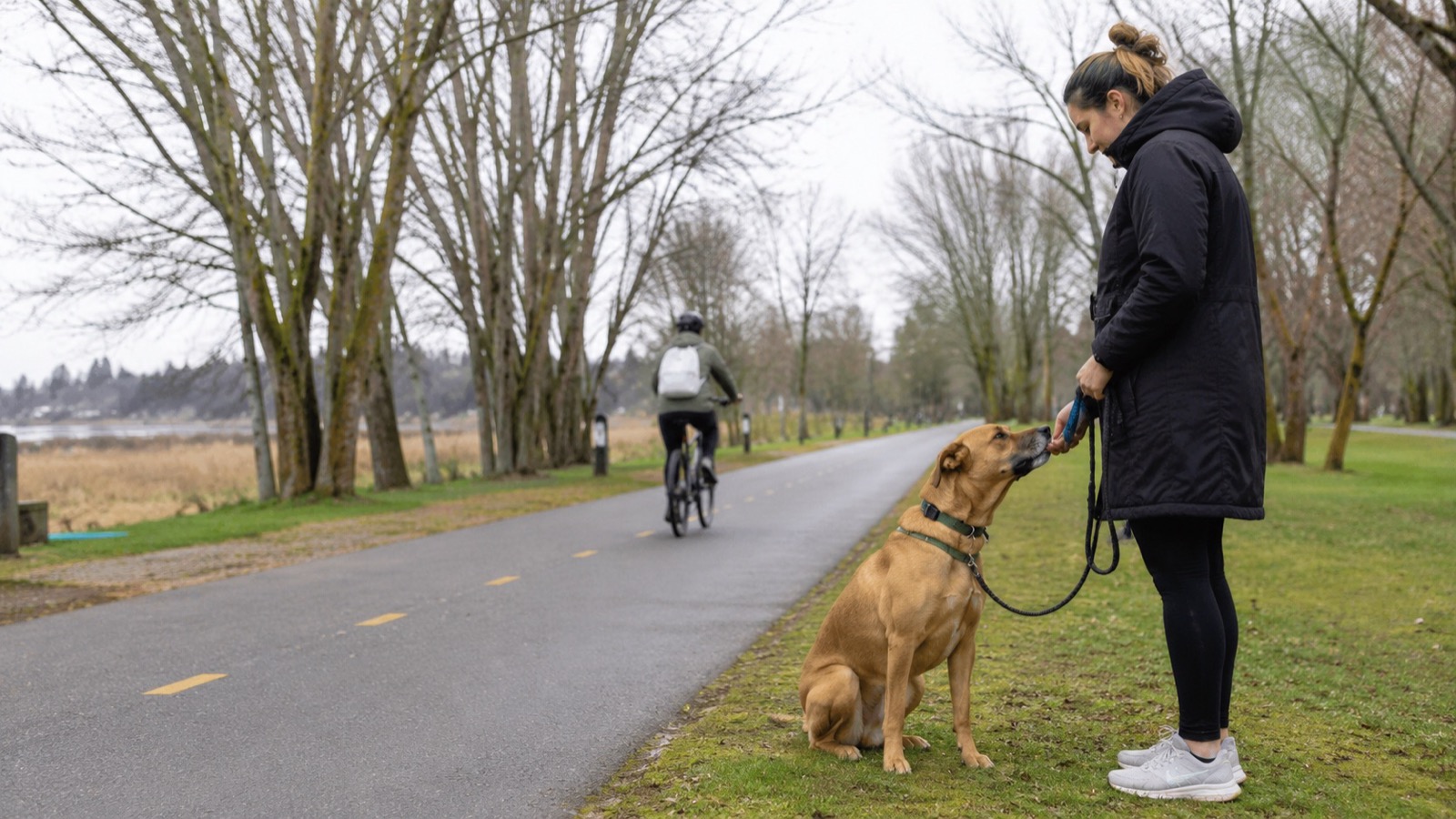 A woman rewards her sitting dog with a treat while a cyclist passes at a distance on the path behind them