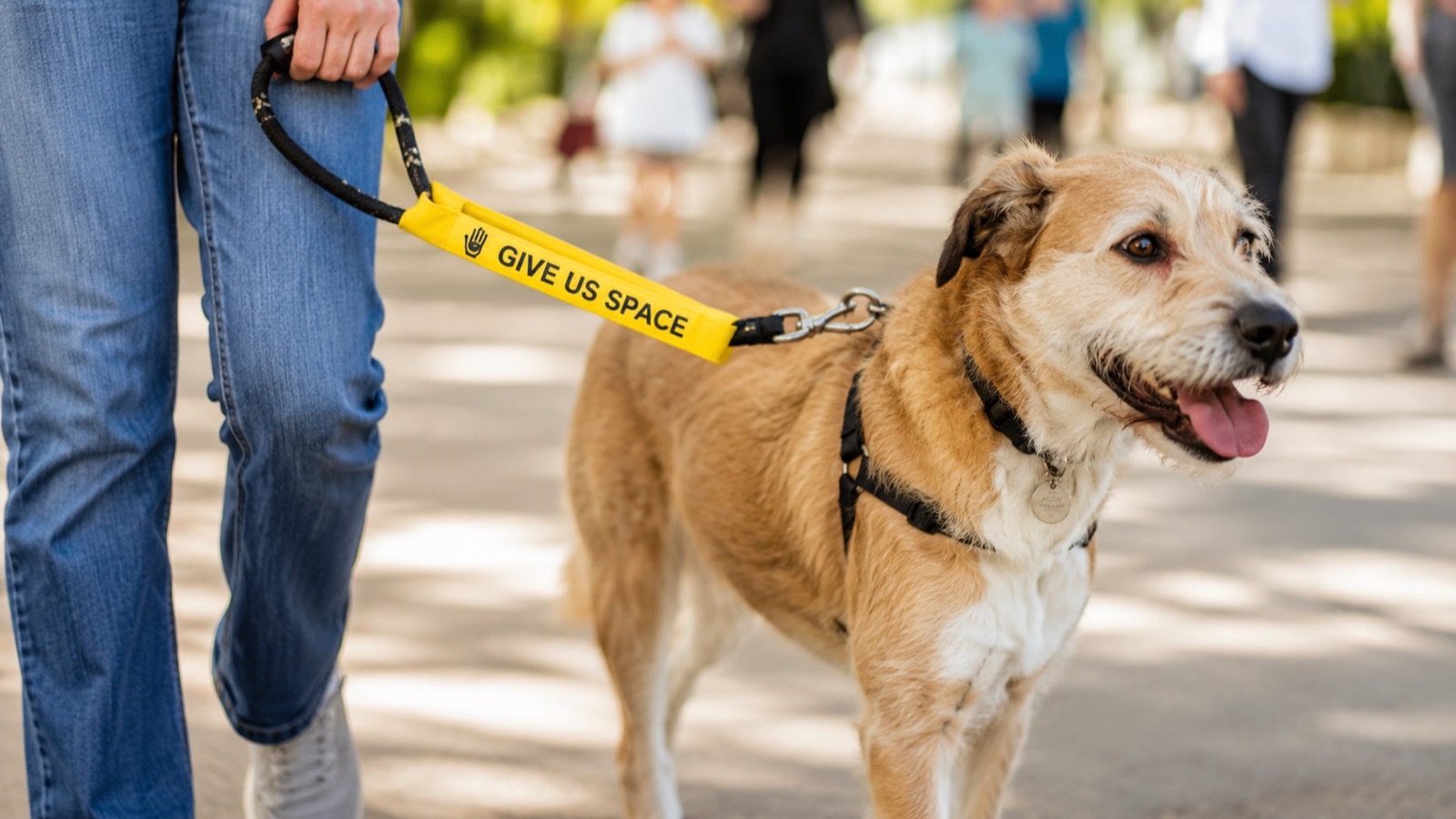Close-up of a dog's leash with a yellow tag reading 'Give Us Space' while walking through a crowded area