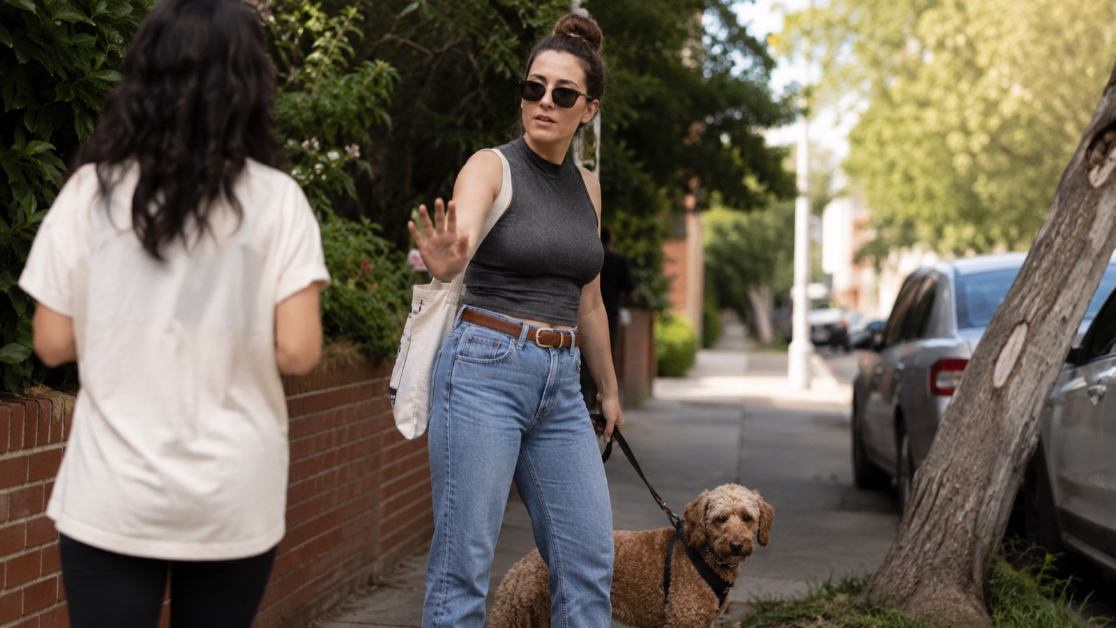 A woman holds up a hand toward an approaching stranger while her dog stays calmly at her side